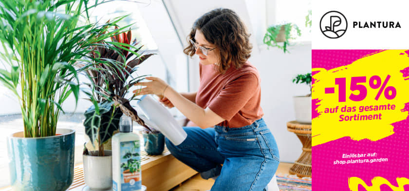 15% auf das gesamte Sortiment