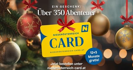 Gewinne 2x2 Niederösterreich-CARDs - und spare 3.500€!