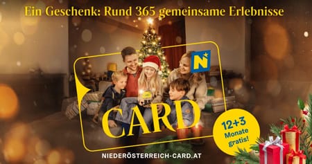 Türchen 4: Gewinne 2x2 Niederösterreich-CARDs – und spare rund 3.500€!