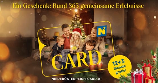 Türchen 4: Gewinne 2x2 Niederösterreich-CARDs – und spare rund 3.500€!