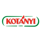 KOTÁNYI Logo