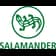 Salamander Logo