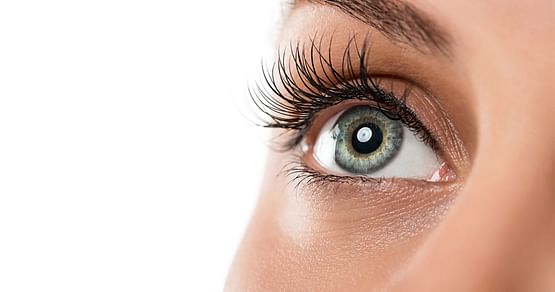Bei discountlens.at findest du Kontaktlinsen, Pflegemittel und Sonnenbrillen besonders günstig! Mit unserem Rabattcode bekommst du 15% Studentenrabatt auf das ganze Sortiment! Ideal für regelmäßige Bestellungen: Der Gutschein ist mehrmals einlösbar.