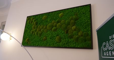 DresdenMoos Gutschein Foto 2