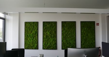 DresdenMoos Gutschein Foto 3