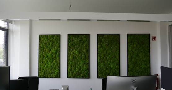 DresdenMoos Gutschein Foto 3