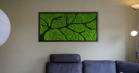 DresdenMoos Gutschein Foto 4