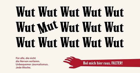 FALTER Gutschein Foto 2