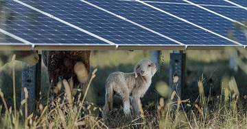 Mit naturstrom Studentenrabatt bis zu 70€ auf echte Ökoenergie sparen