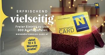 Mit dem Niederösterreich-CARD Studentenrabatt 12 + 3 Monate GRATIS