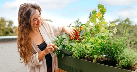 Plantura Gutschein Foto 3