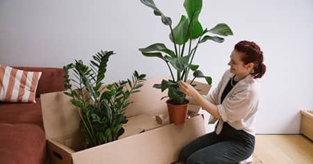 Plantura Wohnen-Rabatt für Studenten 2