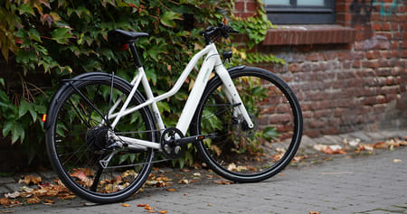 Prophete Gutschein Foto 4