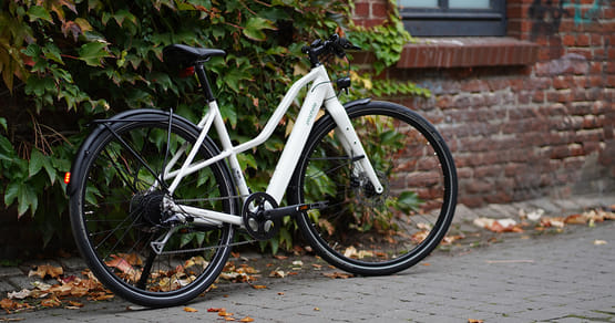 Prophete Gutschein Foto 4