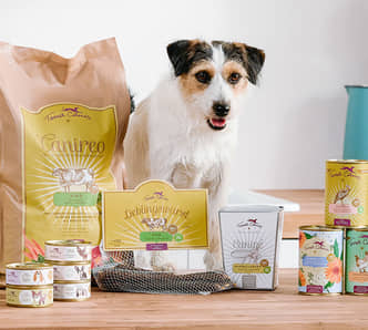 -17% auf Hunde- & Katzenfutter