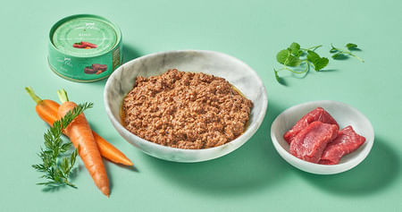 Terra Canis Gutschein Foto 1