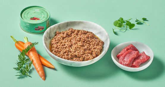 Terra Canis Gutschein Foto 1