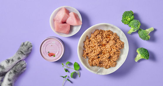 Terra Canis Gutschein Foto 2