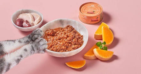 Terra Canis Gutschein Foto 3