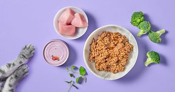 17% Studentenrabatt auf Premium Tierfutter und mehr von Terra Canis & Terra Felis
