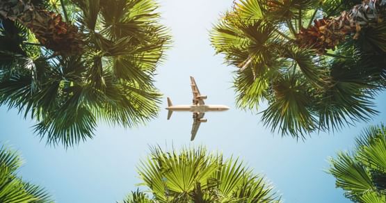 Trip.com macht Reisen für Studis easy – und günstig! Ein riesiges Netzwerk an 1,7 Mio. Unterkünften sowie Flügen von 600+ Airlines zu 3.400 Flughäfen in 220 Ländern/Regionen warten auf dich. Check dir hier die exklusiven Studenten-Deals!
